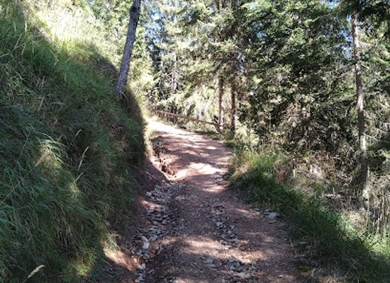 italy/dolomites/attraction/panchina-sul-sentiero-geologico