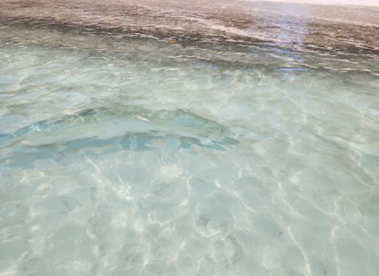 puerto-rico/cabo-rojo/attraction/playa-rustica-cabo-rojo