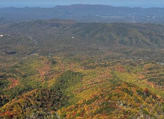 tennessee/great-smoky-mountains/attraction/a-walk-in-the-woods