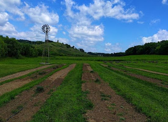 nebraska/loess-hills/attraction/loess-hills-lavender-farm