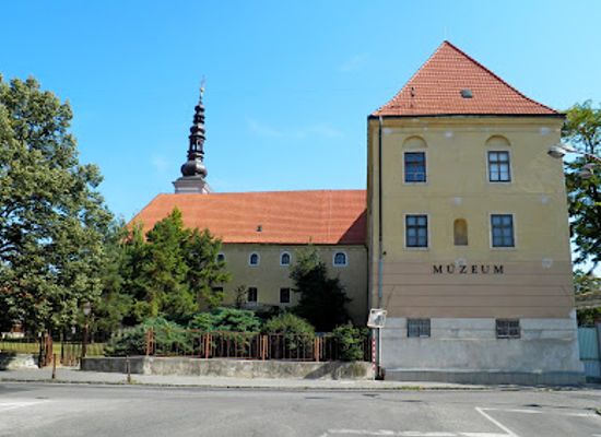 slovakia/trnava-region/attraction/museum-of-western-slovakia