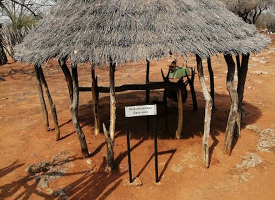 namibia/tsumeb/attraction/helvi-mpingana-kondombolo-cultural-village
