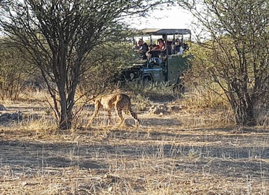 namibia/erongo/attraction/erindi-private-game-reserve
