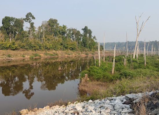 laos/khammouane-limestone-forest/attraction/flooded-forest-viewpoint
