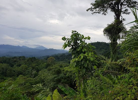 indonesia/highlands-papua/attraction/mount-balbi