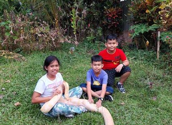 philippines/bohol/attraction/bohol-python-wildlife-park