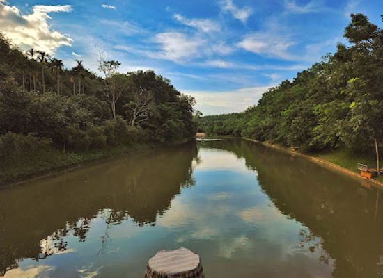 bangladesh/srimangal/attraction/the-palace-lake