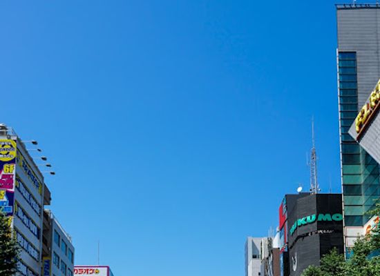 japan/tokyo/attraction/akihabara-electric-town