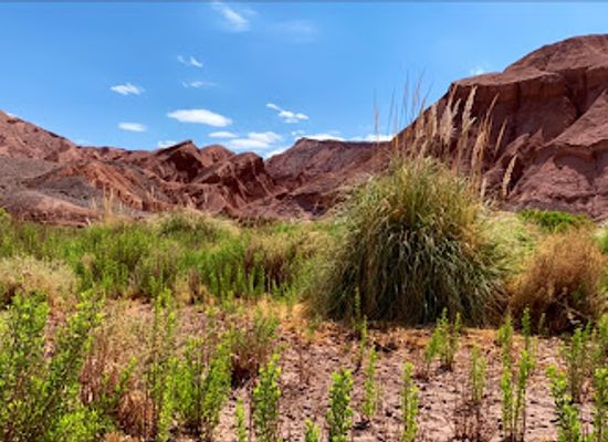chile/valle-de-la-luna/attraction/devil-s-throat