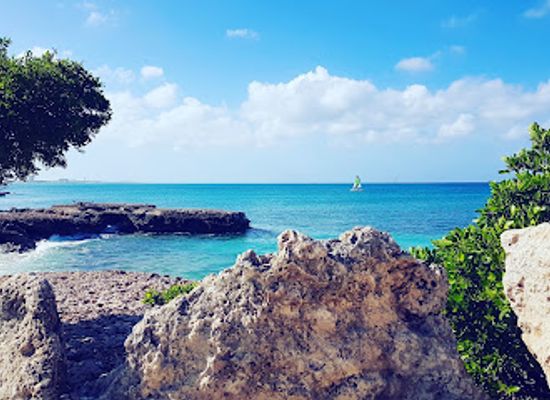aruba/eagle-beach/attraction/arashi-park