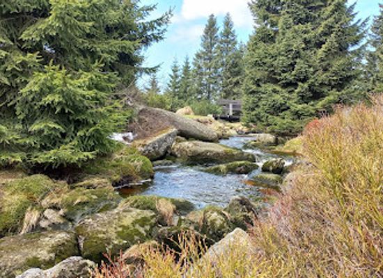 czechia/jizera-mountains/attraction/paulova-paseka