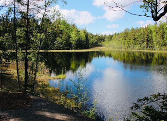 finland/nuuksio-national-park/attraction/sorlampi-nature-trail