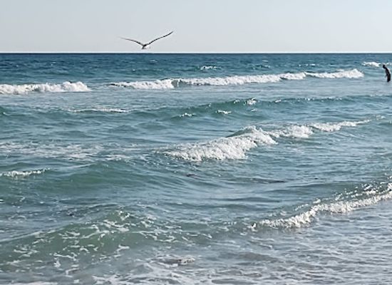 florida/panhandle/attraction/pensacola-beach-park-east