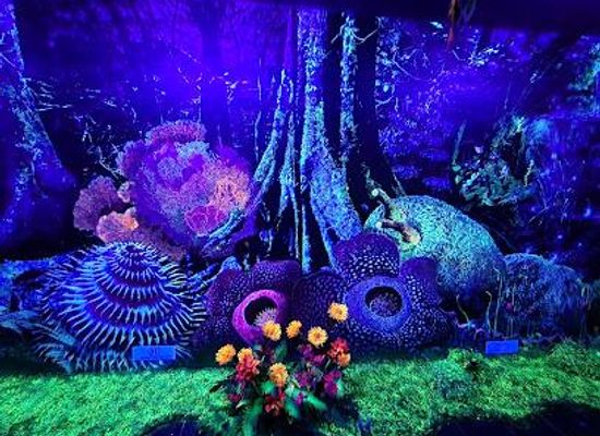malaysia/george-town/attraction/dark-mansion-3d-glow-in-the-dark-museum