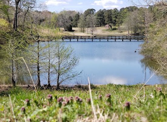 virginia/williamsburg/attraction/bassett-trace-nature-trail