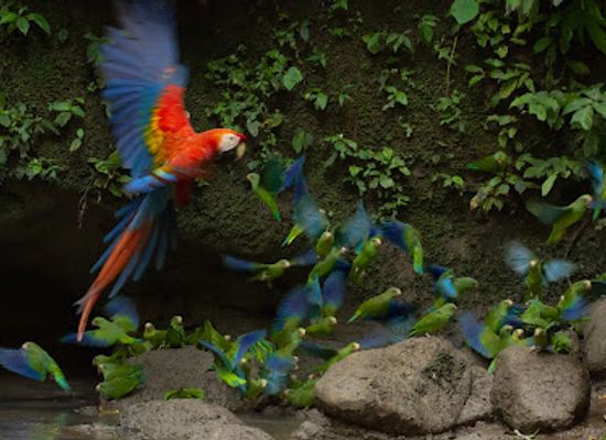 ecuador/andean-highlands/attraction/saladero-de-anangu-pericos
