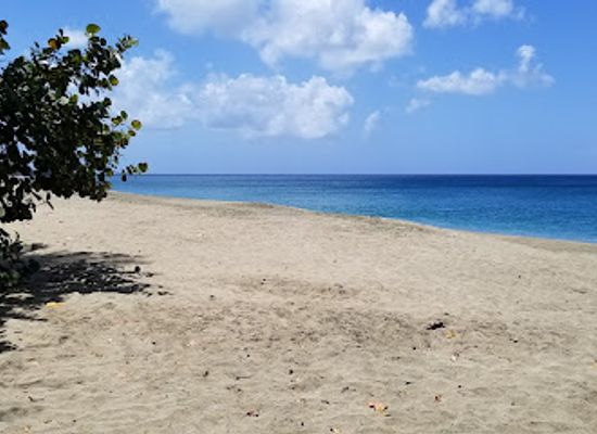 trinidad-and-tobago/buccoo-reef/attraction/great-courland-bay-turtle-beach