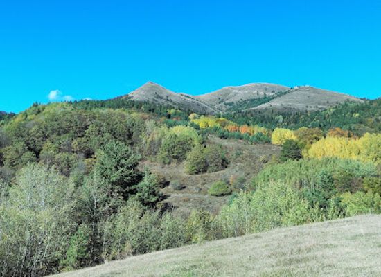 georgia/khevsureti/attraction/algeti-s-national-park