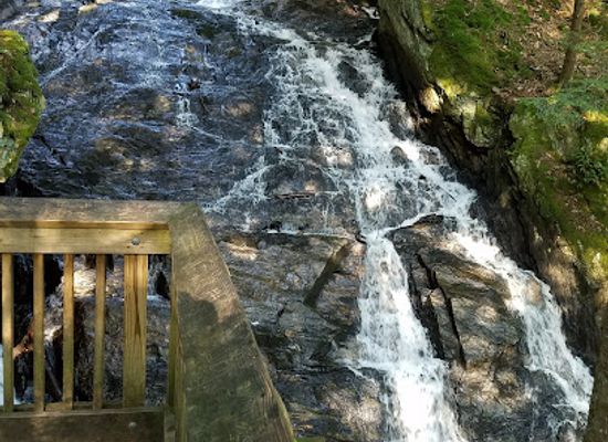 vermont/killington-ski-area/attraction/thundering-brook-falls-trail