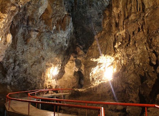 mexico/chiapas-highlands/attraction/parque-ecoturistico-rancho-nuevo