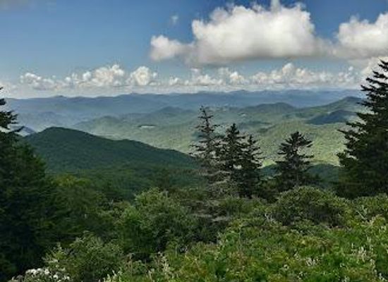 north-carolina/great-smoky-mountains/attraction/rough-butt-bald-overlook