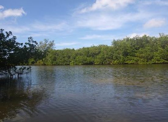 florida/sun-coast/attraction/jim-neville-marine-preserve