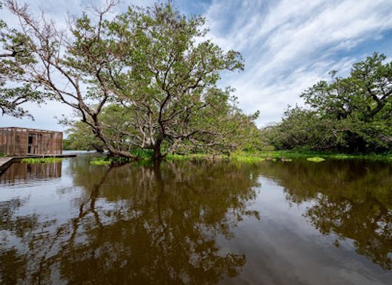new-caledonia/hienghene/attraction/observatoire-du-marais-fournier