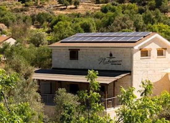 cyprus/polis-chrysochous/attraction/makarounas-vineyards