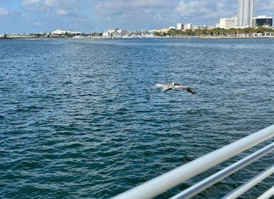 florida/tampa-bay-area/attraction/st-petersburg-pier