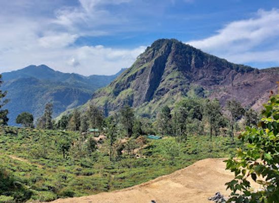 sri-lanka/moneragala-district/attraction/little-adam-s-peak-view-point
