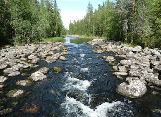 finland/ruka-kuusamo/attraction/aallokkokoski-rapids