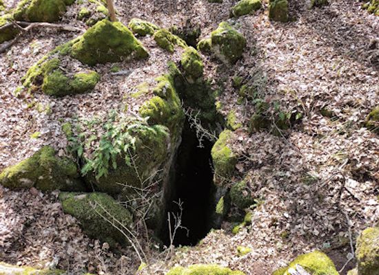 slovakia/slovak-karst-national-park/attraction/kamenista-priepast