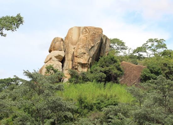 zimbabwe/lowveld/attraction/lake-chivero-recreational-park