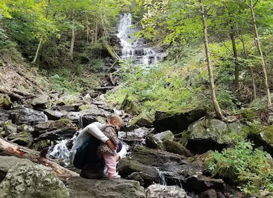 massachusetts/mount-greylock-state-reservation/attraction/money-brook-falls