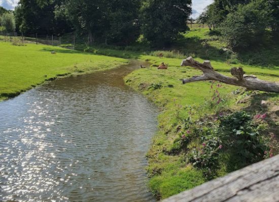 france/normandy-coast/attraction/animal-park-ecouves