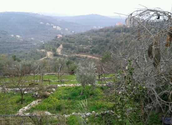 lebanon/chouf-district/attraction/public-garden-and-park-of-al-bayder-area