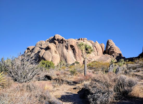 california/mojave-desert/attraction/split-rock-loop-trail