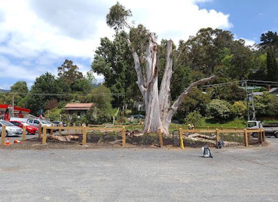 australia/yarra-valley/attraction/the-warburton-tree
