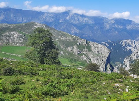 spain/picos-de-europa/attraction/los-picos-de-europe-en-penamellera-alta-national-park