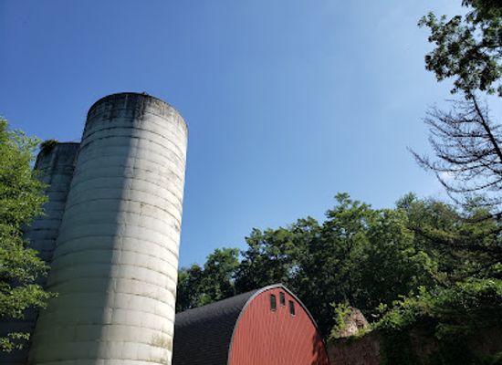 pennsylvania/dutch-country/attraction/wolf-sanctuary-of-pa