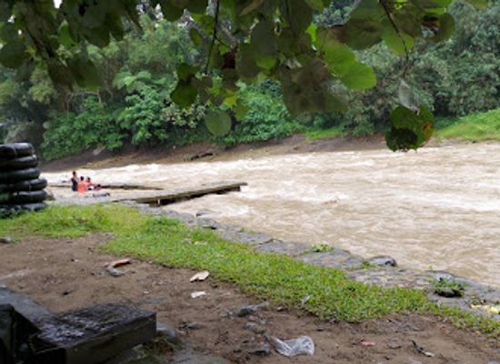 indonesia/bukit-lawang/attraction/jungle-man-live