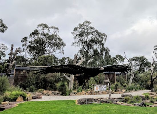 australia/eastern-victoria/attraction/healesville-sanctuary-zoos-victoria