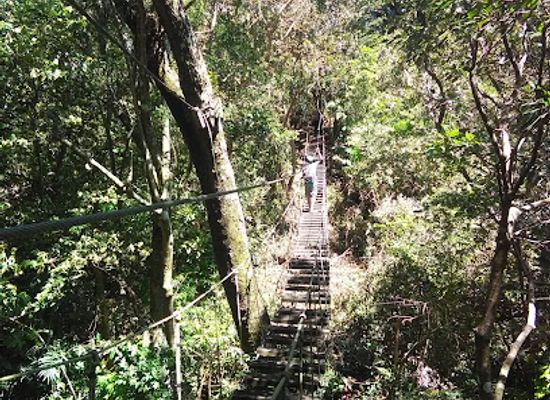 costa-rica/monteverde-cloud-forest/attraction/frog-pond-ranario
