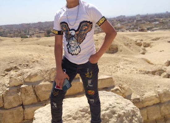 egypt/tanta/attraction/almufariq