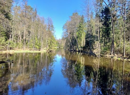 poland/roztocze-national-park/attraction/black-pond-zwierzyniec