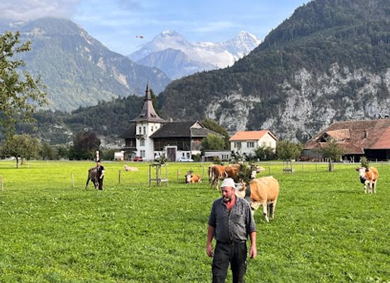switzerland/bernese-oberland/attraction/mittlere-strasse