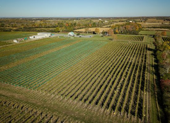 canada/okanagan/attraction/rosehall-run-vineyards