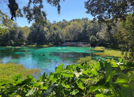 florida/juniper-springs-recreation-area/attraction/rainbow-springs-state-park