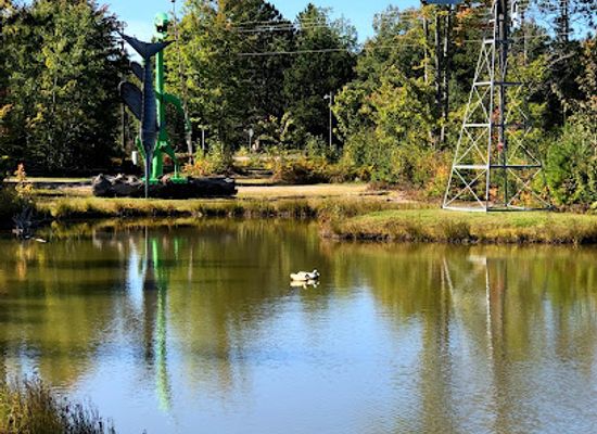 michigan/pere-marquette-state-forest/attraction/lakenenland