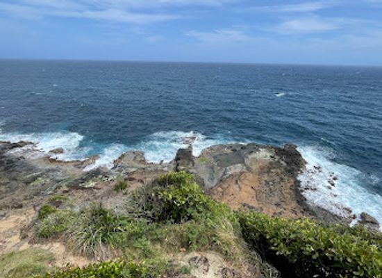 dominica/saint-david/attraction/l-escalier-tete-chien
